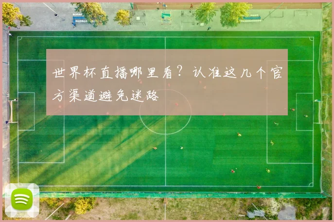 世界杯直播哪里看?认准这几个官方渠道避免迷路